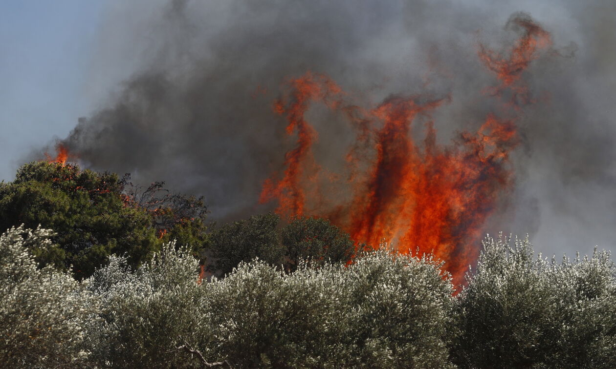 Χαλκιδική: Μία σύλληψη για τη φωτιά στον Νέο Μαρμαρά