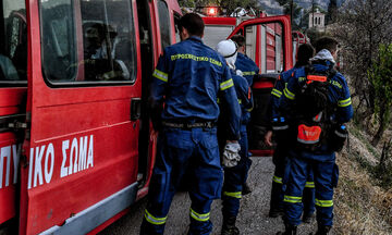 Πυρκαγιά σε χορτολιβαδική έκταση στο Βουπράσιο Αχαΐας 