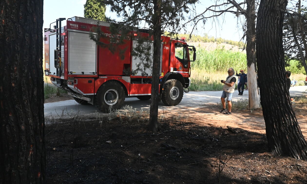 Σε δύο πυρκαγιές στη Λίμνη Πλαστήρα επενέβη η Πυροσβεστική Υπηρεσία Καρδίτσας